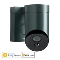Cámara de videovigilancia exterior ip Wifi Somfy protect Gris