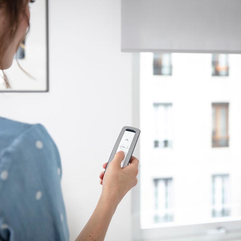 Mando a distancia Situo 1 IO Iron - 1870318 - 2 - Somfy